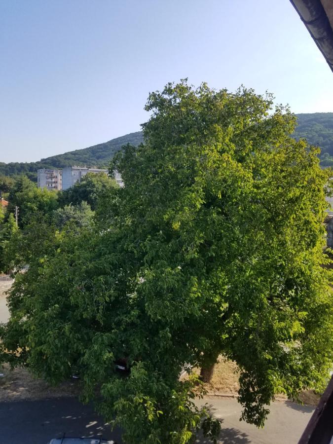 Retro Apartment Malko Turnovo Exterior photo